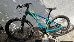 Cube Access Hybrid SL 500 pinetree´n´green 2019 Größe 17“