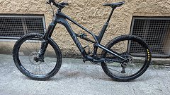 Canyon Spectral AL 6 2021, Größe: XL