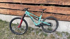 Zerode Katipo