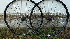 DT Swiss C 1800 Spline Disc