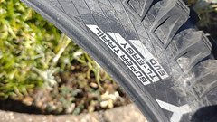 Schwalbe Magic Mary Evolution Super Trail ADDIX Soft TLE EVO