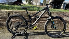 Canyon Torque CF 7.0 Gr. L 2019