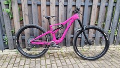 Orbea Rallon 2023 Custom Fuchsia
