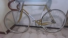 Viva „Pista“ singlespeed