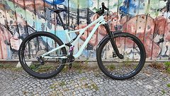 Specialized Stumpjumper ST L Tune DT-Swiss Newmen Trickstuff