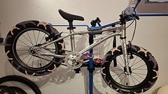 Early Rider Seeker 16