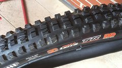 Maxxis minion DHF DD 29