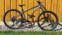 Dartmoor Primal 29" custom Trail Hardtail in L, NEU!!