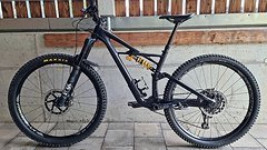 Specialized Enduro