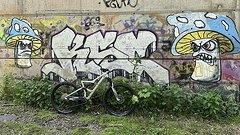 Orbea Occam LT RAW Unikat! Gr.L | Newmen Pike Ultimate