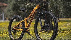 Dartmoor Kinder MTB Sparrow Junior Mullet 26"/24" | Glossy Copper Orange