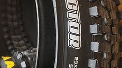 Maxxis Dissector - 29 x 2.40 WT 3C EXO Maxx Terra