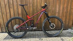 Canyon Strive CF 7.0 Enduro 2020 29“ L Shimano XT Saint Fox 36