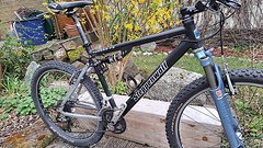 Steppenwolf Tundra FS