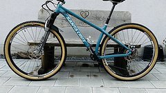 Santa Cruz Bicycles Chameleon AL Gr. M 29" custom