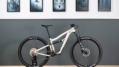 Ibis Cycles Ripley AF 2023 Chalk M