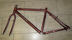 Mtn-Tek MTN Tek Ecstasy MTB Rahmen-Gabel-Set 90er Jahre, top Zust., Kult