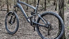 Trek Remedy 7