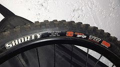 Maxxis Shorty 29"x2,4" MaxxGripp DoubleDown Tubeless Ready