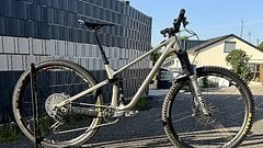 Norco Optic Gr. M Custom