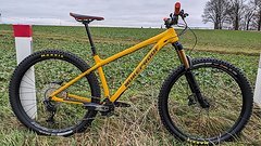 Nukeproof Scout 290