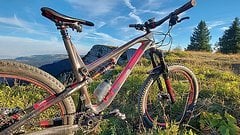 Intense Spider 275C