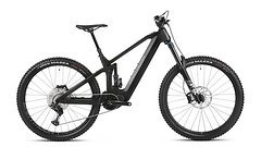 Dartmoor E-THUNDERBIRD CF 29", lieferbar