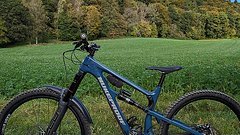 Nukeproof Mega 290 Carbon L