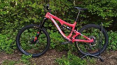 Pivot Cycles Firebird