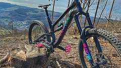 Canyon Torque CF 7 aus 2019