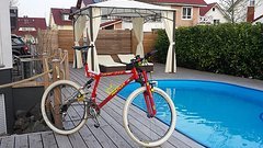 PRO Flex 856 (MTB von ehemals deutschem Meister!)