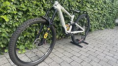 Specialized Enduro custom