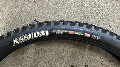 Maxxis - Assegai 29x2,5 - WT - MaxxTerra - EXO+ - Logo Weiß