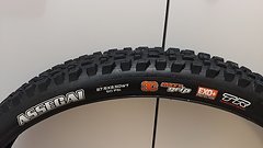 Maxxis Assegai 27.5 x 2.5 EXO+ Maxxgrip 75% Reifen Enduro/Trail