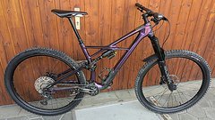 Specialized Enduro S-Works 29" - Gr. L