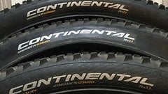 Continental 3 x Cross King RaceSport ProTection 29 x 2,3