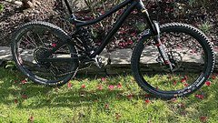 Last Bikes Coal (V02) Custom Gr. L