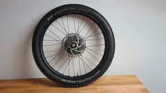 Syntace Laufrad W40 MX Rear 148x12mm Freewheel Shimano - MTB or Trial