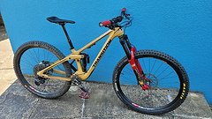 Transition Bikes Sentinel V2 GX Carbon loamgold (no santa cruz, pivot, yeti, YT, propain)