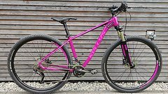 Kellys Desire 50, Größe M