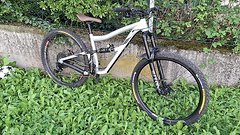 Ibis Cycles Ripmo AF L Custom