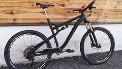 Transalp Signature II X12 - 12,49kg Gr. L, 27,5"/650b, viel Carbon, 120-160mm