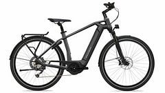 Flyer E- Bike Flyer Gotour6 3.10 gents  - RH: L-Auslaufmodell