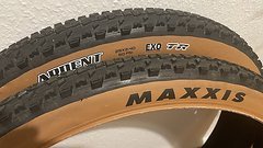 Maxxis 2 Stck Ardent 29x2.4 Tan Wall , TR, EXO