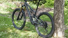 Specialized Stumpjumper Evo full 29" viele Carbonteile und Trickstuff