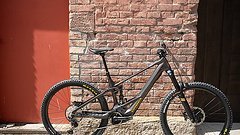 Orbea Wild M10 2024 [L]