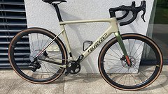 Wilier Rave SLR 2024 Sand Rahmenset RH: L