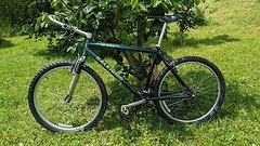 Raleigh M800