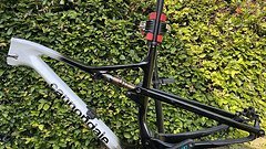 Cannondale Scalpel Hi-Mod Rahmen Gr. L
