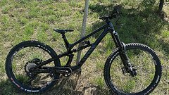 Canyon Torque CF 8 2024